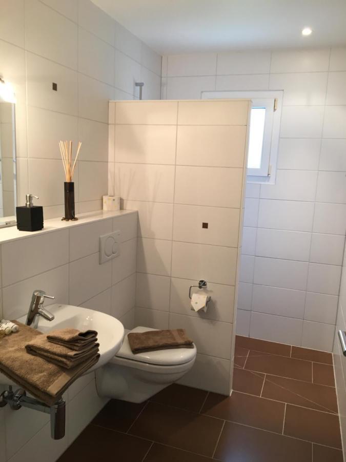 مبيت وإفطار Ecublens  Montaney Guests House - Epfl المظهر الخارجي الصورة